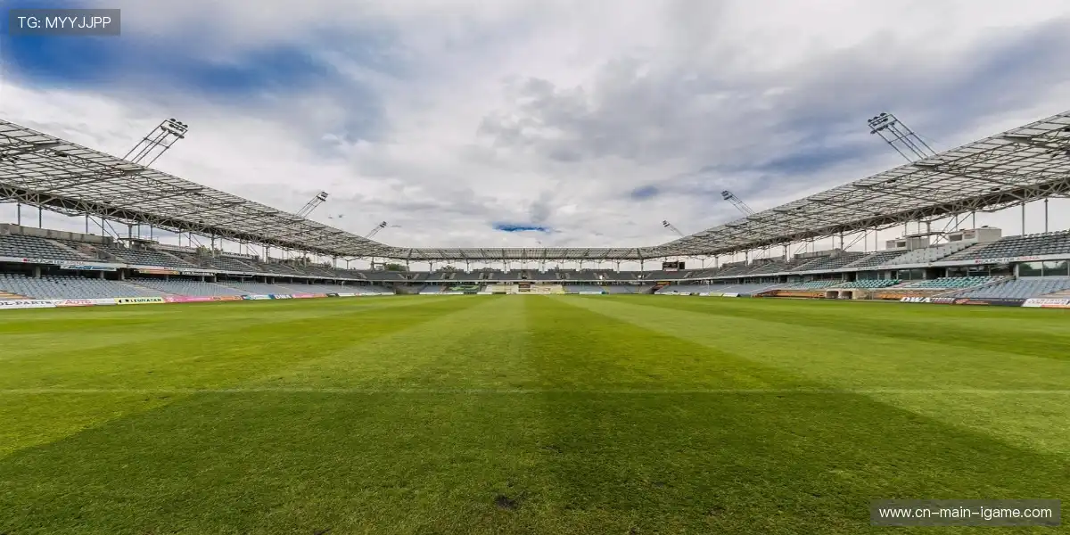 🏟️比赛场馆热浪翻滚，赛点节奏不容停歇！🔥